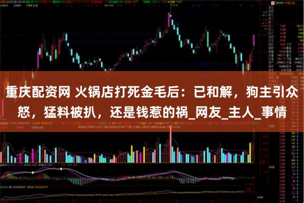 重庆配资网 火锅店打死金毛后：已和解，狗主引众怒，猛料被扒，还是钱惹的祸_网友_主人_事情